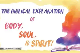 Brain and Bible