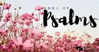 Bible Study Resources