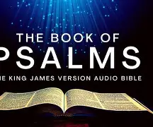 The Power of Gratitude - Bible Study