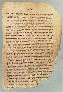 Nature of Textual Variants