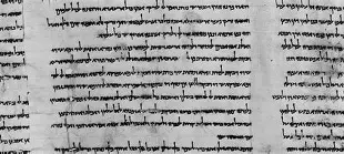 Image 2: The Discovery of the Dead Sea Scrolls
