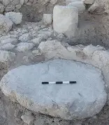 An ancient Philistine coin